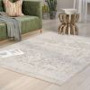 3' x 5' Distressed Oriental Area Rug in Light Grey / Beige