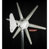 300 Watt 12-Vot 6-Blade Wind Generator with Charge Controller