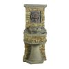 Indoor / Outdoor Water Fountain with Bronze Hued Lion Head