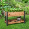 2-Ft x 4-Ft Cedar Wood Raised Garden Bed Planter Bed with Black Vinyl Legs